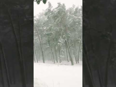 Calm Relaxing Winter Ambience Sounds Heavy Snowstorm and Howling Wind