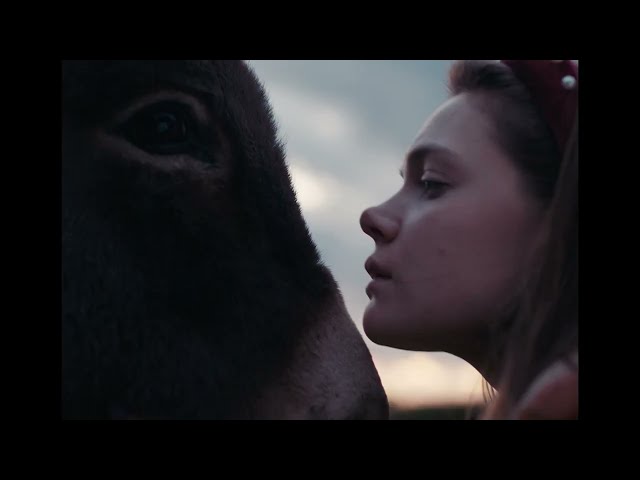 EO (trailer oficial)