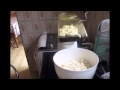 PIPOQUEIRA
