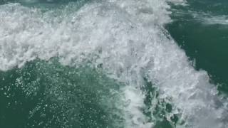 Madlib Slims Return interpretation