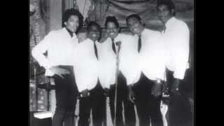 Curtis Knight - hornet's nest