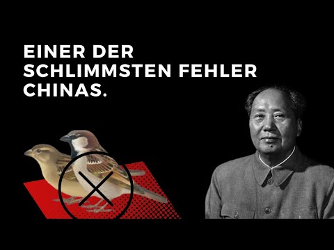 Die Kampagne der vier Plagen und der Große Sprung nach vorn.