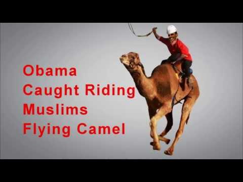 BREAKING NEWS Obama Caught Riding Flying Camel #107