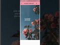 Bae S Goals By Megan Thee Stallion Slowed And Reverb Version