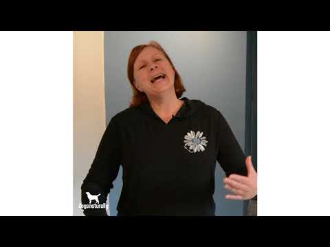 Why I don't feed chicken to my dogs.