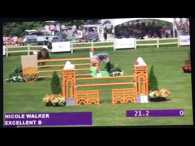 Half-brother of this Implanted Embryo is the CSI 1.60m jumping horse Excellent B with rider Nicole Walker.