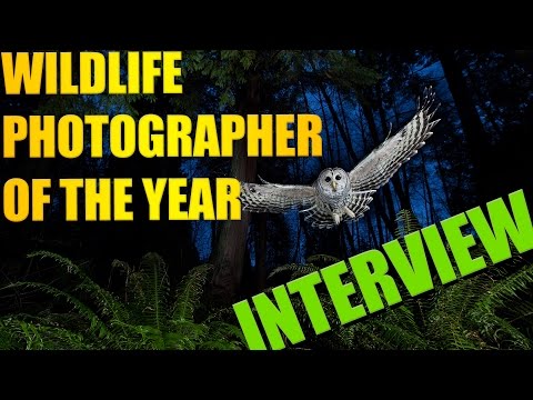 Wildlife Photographers of 2013