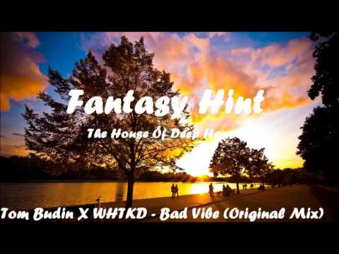 Tom Budin X WHTKD - Bad Vibe (Original Mix)