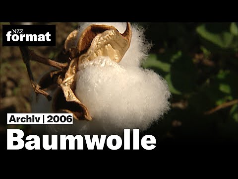 Baumwolle – die Herausforderung des weissen Goldes (2006)