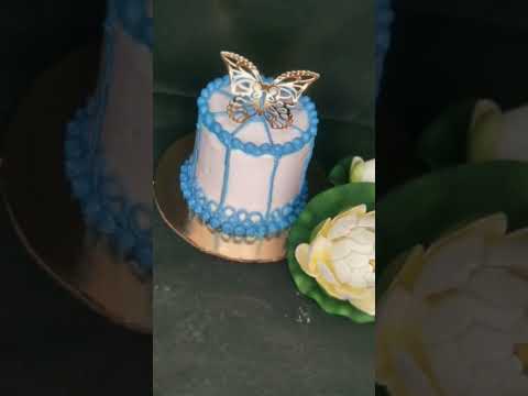 Butterflies🦋🦋 mini cake🍰🎀/mini cake🍰/@_maakirasoi /Chef 👨‍🍳Gunja Singh
