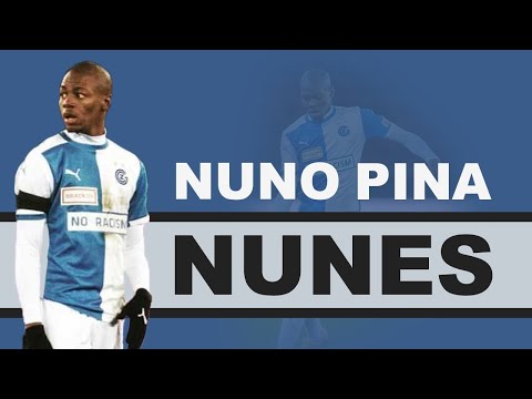 Nuno Pina Nunes ● Defensive Midfielder ● Grasshopper Club Zurich | Highlight Video