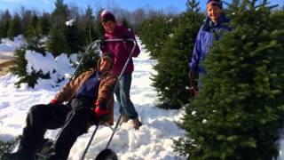 "Mambo Santa Mambo" Fan Video