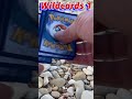 Found Native American Artifact whenHunting Wild Pokemon #pokemon #cardopenings #pokemongo #artifact