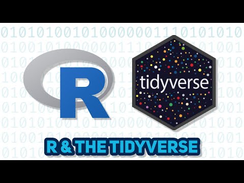 Essential R to learn for statistics and data science in 2024