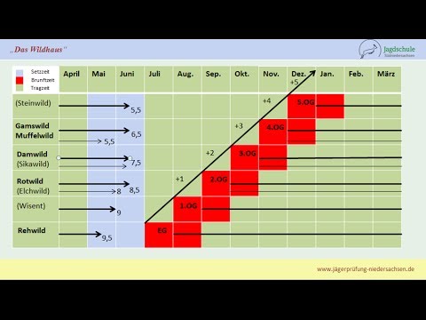 Jägerprüfung Niedersachsen Das Wildhaus