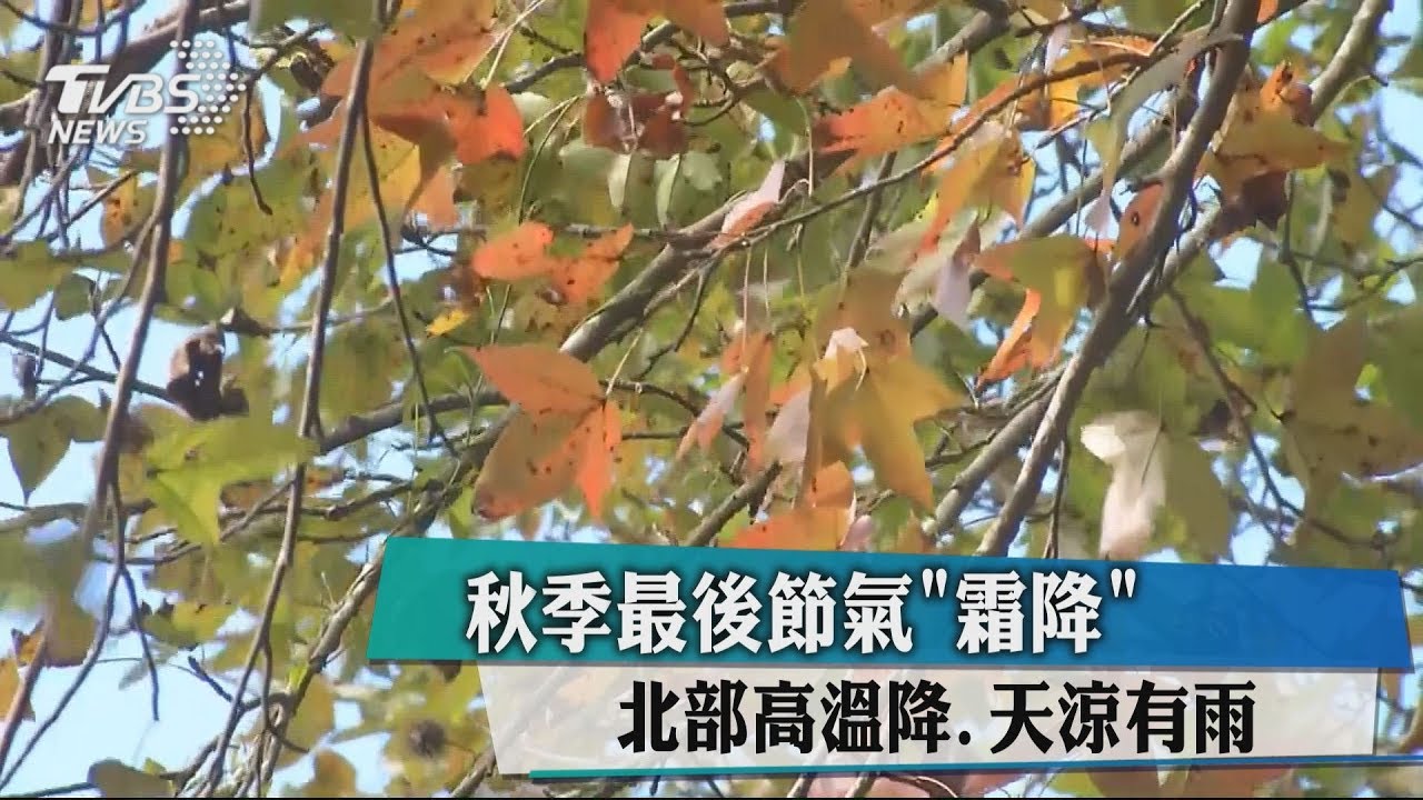秋季最後節氣「霜降」 北部高溫降、天涼有雨