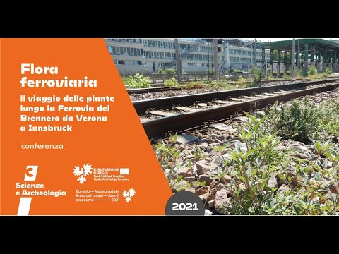 Flora ferroviaria. Il viaggio delle piante lungo la ferrovia del Brennero da Verona a Innsbruck