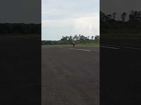 Representado Camapuã os mlk manja