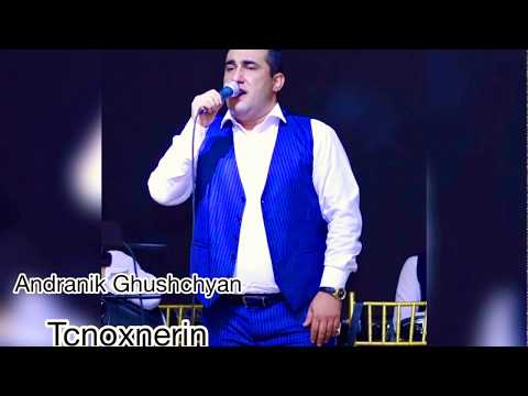 Andranik  Ghushchyan  TCNOXNERIN 2020  (Cover) Sahak Avetyan