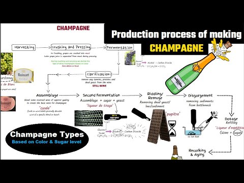 Champagne making process // champagne vs sparkling wine // How to make sparkling wine //