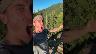 Pure Genuine Excitement 🤣🐦 #hiking #nature #birds #birdslover #travel
