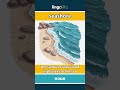 seashore - the sandy or rocky land right... video thumbnail
