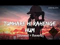 Tumhare Hi Rahenge Hum Slowed Reverb Varun J Shilpa R Sachin Jigar Stree 2 Anshul3zx