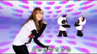 Chinese Eurodance Music *Zhang Zhiyong-I'm your Baby Panda * (巴布熊貓)