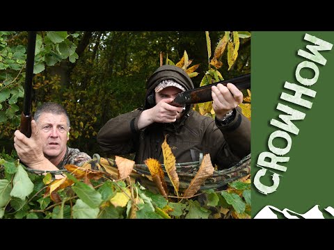 Decoying pigeons over November maize - Crowhow