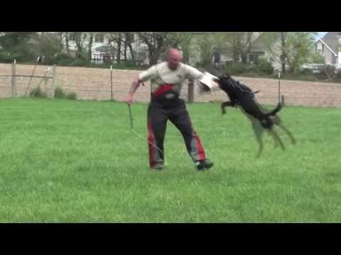 Amidala vom Rottberg