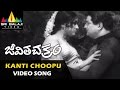 Jeevitha Chakram Video Songs Kanti Choopu Male Video Song NTR Vanisri Sri Balaji Video