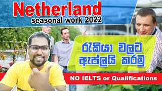 Netherland Seasonal Jobs 2022 | New Netherland Jobs | Europe Jobs | Seasonal Worker Jobs | Job Expo