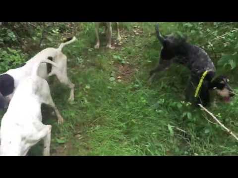 La créance en vidéopartie 1