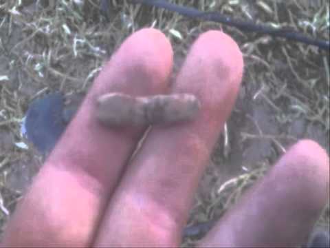 Moje Wykopki Odc. 108 (SE02 E8)