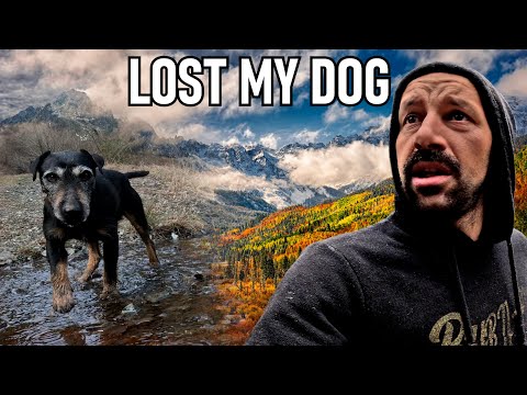 THE WILD TOOK MY DOG 🐾| I Lost My Best Friend: The Day Živko Didn't Come Back 😢
