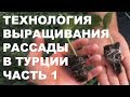 Технология выращивания рассады в Турции . Часть 1