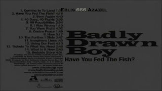Badly drawn boy — You were rigth (subtitulada).