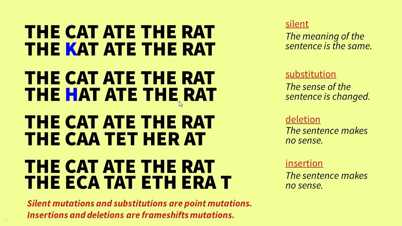 The Genetic Code and Mutations