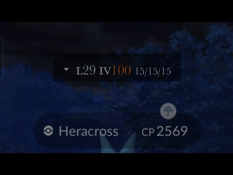 I Got 100iv Heracross in Wild | #pokemongo #100iv