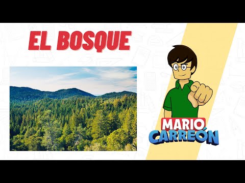 El Bosque 🌲