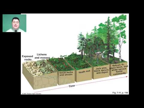 Ecological Succession