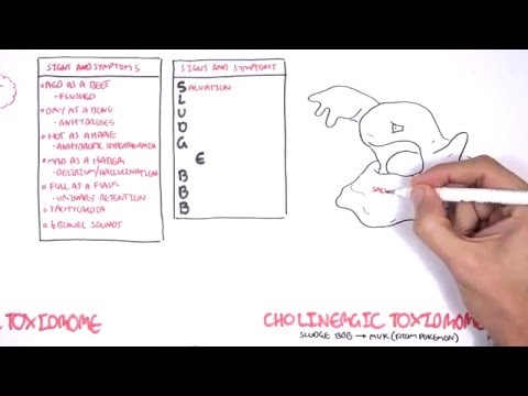Cholinergic and Anticholinergic Toxicity (Toxidrome)