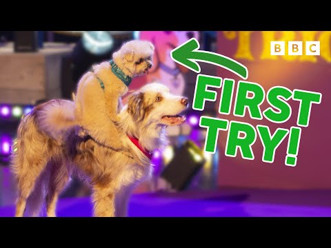 These Dogs Can Dance BETTER Than you...