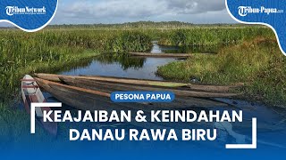 Keajaiban dan Keindahan Alam Danau Rawa Biru yang Jadi Jantungnya Taman Nasional Wasur Merauke