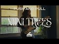 Mini Trees - "Push and Pull" (Official Lyric Visualizer)