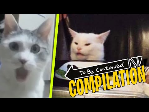 TO BE CONTINUED COMPILATION (Funny Animal Fails)