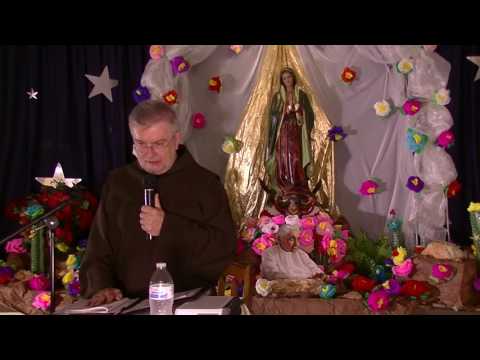 Introduction to the Divine Will - Luisa Piccarreta by Fr. Robert Young OFM
