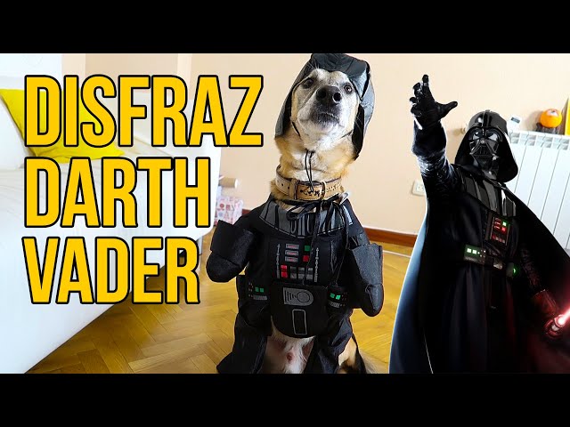Vídeo relacionado con Rubies - Disfraz de Darth Vader para mascota, Talla L perro ( 887852-L)