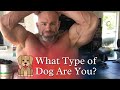 There Are Two Types of Dogs - What Type Are You?