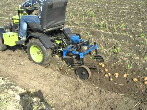 Минитрактор самодельный уборка картофеля. Копаем картошку минитракторам. Копаем картошку минитракторам. Мини трактор для копки огорода. Кабан копает землю.